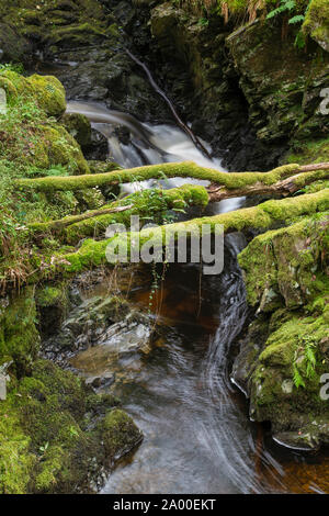 Cordorcan brennen Wasserfälle in den Wald von Cree Nature Reserve, Newton Stewart, Dumfries und Galloway, Schottland Stockfoto