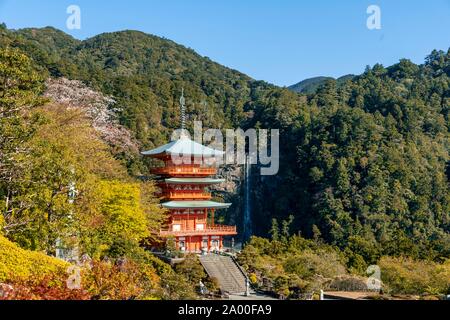 Nachi Wasserfall hinter Pagode des Tempels, Seigantoji Nachisan, Wakayama, Japan Stockfoto