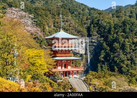 Nachi Wasserfall hinter Pagode des Tempels, Seigantoji Nachisan, Wakayama, Japan Stockfoto