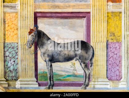 Graues Pferd, Pferd in der Sala dei Cavalli, Halle der Pferde, Fresko von Giulio Romano, pleasure palace Palazzo Te, Mantua, Lombardei, Italien Stockfoto