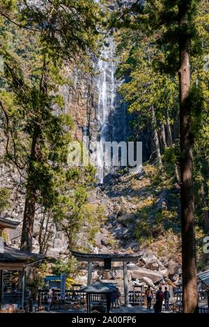 Nachi Wasserfall hinter Pagode des Tempels, Seigantoji Nachisan, Wakayama, Japan Stockfoto