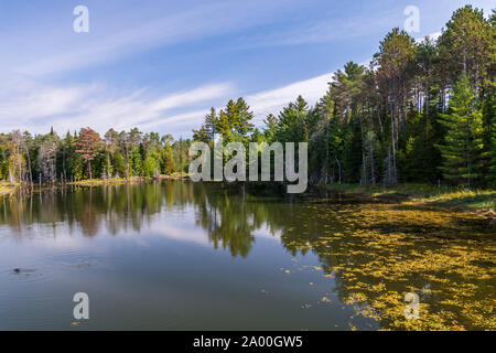 Ritchie Falls Conservation Area Minden Hills Haliburton County Algonquin Highlands Ontario Kanada im Sommer Stockfoto