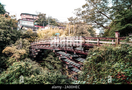 Saruhashi, Historische Holzbrücke in Otsuki, Yamanashi Präfektur, Japan Stockfoto