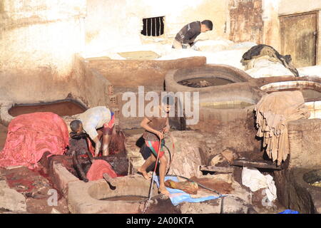 Fez, Marokko - Januar 01, 2010: Arbeitnehmer sind die Färbung und das Gerben von Leder in der Gerberei in Fez nach der traditionellen Methode mit Taube Mist und Salz. Stockfoto