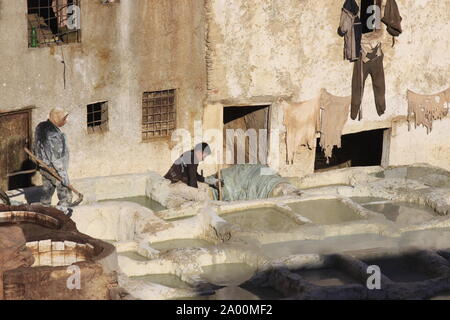 Fez, Marokko - Januar 01, 2010: Arbeitnehmer sind die Färbung und das Gerben von Leder in der Gerberei in Fez nach der traditionellen Methode mit Taube Mist und Salz. Stockfoto