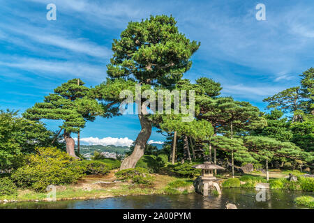 Kanazawa, Ishikawa, Japan - 22. August 2018: Japanische Pinien und einem Stein Laterne (Ishidoro) in einem Teich im Garten Kenrokuen Stockfoto