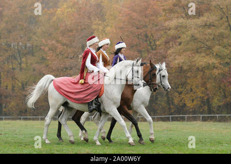 Reiter im historischen Kleider auf Arabian Horse Hengste Stockfoto