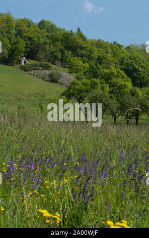 Landschaft mit Stein Bar, Kochertal, Künzelsau, Hohenlohe, baden-württemberg, Heilbronn - Franken, Deutschland, K Stockfoto