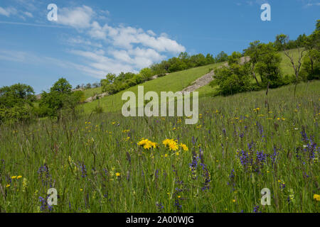 Landschaft mit Stein Bar, Kochertal, Künzelsau, Hohenlohe, baden-württemberg, Heilbronn - Franken, Deutschland, K Stockfoto