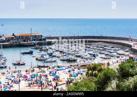 Die Aussicht von Langmoor und Lister Gärten, hinunter auf den Hafen umgeben von den Cobb in Lyme Regis, an einem klaren Sommertag Stockfoto