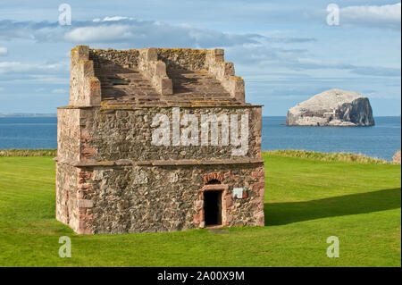 Schwalbenholz von Tantallon Castle mit Bass Rock Island im Hintergrund. North Berwick, East Lothian, Schottland Stockfoto