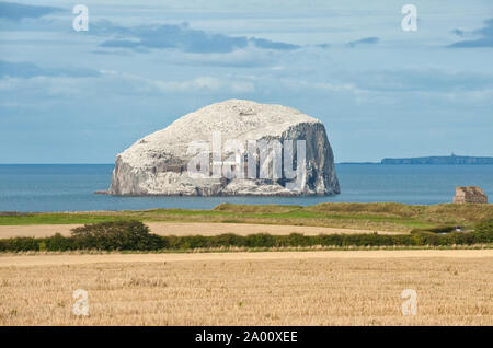 Bass Rock Island. Firth-of-Forth, süd-östlich Schottland Stockfoto