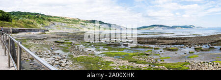 Blick nach Osten von Lyme Regis seawall bei Ebbe über die freiliegenden Rock Pools und Algen an einem Sommertag Stockfoto