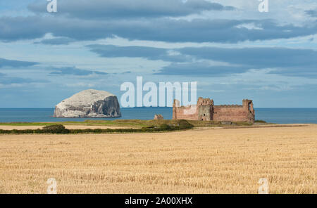 Tantallon Castle und Bass Rock. East Lothian, Schottland Stockfoto