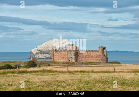 Tantallon Castle und Bass Rock. East Lothian, Schottland Stockfoto