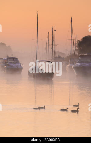 Wareham, Dorset, Großbritannien. 19. September 2019. UK Wetter: Eine ruhige Szene in Wareham, Boote auf dem Fluss Frome vertäut sind in sanften Nebel zu einem weiteren schönen sonnigen, herbstlichen Morgen eingehüllt. Credit: Celia McMahon/Alamy Leben Nachrichten. Stockfoto