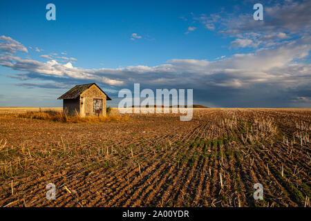 Alte Scheune und leeres Feld nach der Ernte in sonniger Tag. Panorama Bild mit Gemähten Weizenfeld unter sonnigen Tag. Der Tschechischen Republik Stockfoto