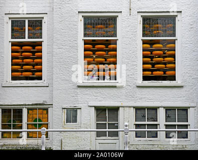 Delft, Niederlande - 2019.09.07: hintere Fassade und Fenster von einem Käse Shop im Stadtzentrum von Oude langedijk gesehen Stockfoto