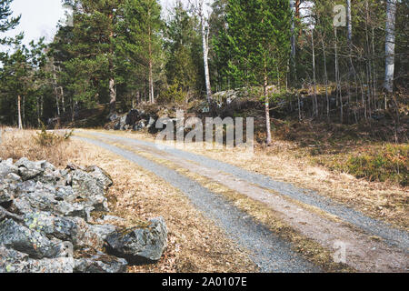 Dirt Road Track durch Wald, Naturschutzgebiet (Bjorno Bjorno Naturreservat), Stockholmer Schären, Schweden Stockfoto