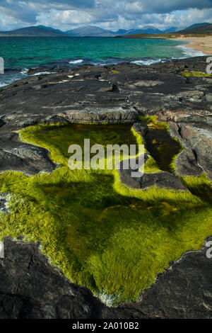 Playa de Scarista Strand. Sound von Taransay. South Harris Insel. Die äußeren Hebriden. Schottland, Großbritannien Stockfoto