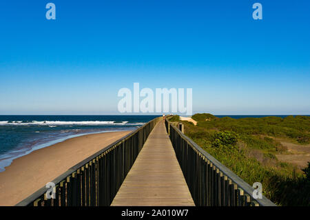 Holz- Fußweg entlang Ocean Küstenlinie in Urunga, New South Wales Stockfoto