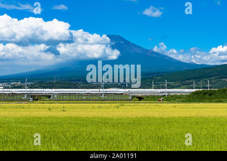 Präfektur Shizuoka, Japan - 3. September 2016: Bullet Train, Shinkansen fährt unter Mt. Fuji mit hellen Reifen Reis, Feld, Paddy im Vordergrund. Stockfoto