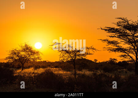 Golden Sunset in Namibia Namib Naukluft Park Stockfoto
