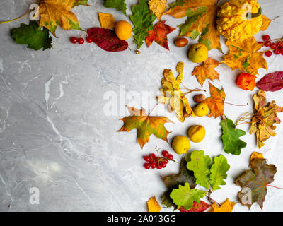 Herbst Komposition. Rahmen aus Herbst getrocknete Blätter, Kürbis, Physalis, Cydonia, roten Beeren auf Marmor Hintergrund. Flach, Ansicht von oben, kopieren Raum Stockfoto