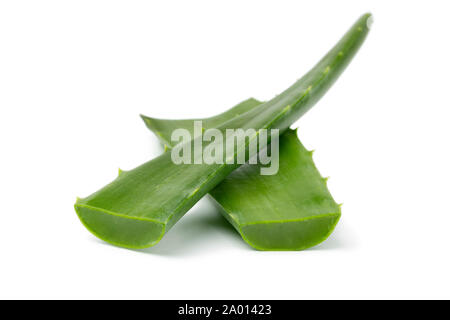 Frisches Grün Aloe Blatt auf weißem Hintergrund Stockfoto