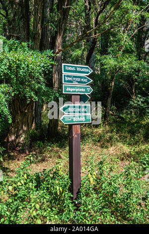 Schild der Spaziergang im Wald im Naturschutzgebiet - Boitzenburg, Uckermark, Brandenburg, Deutschland Stockfoto