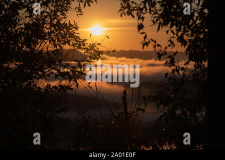 Die eisigen Morgendämmerung in den Bergen von Jaguari, Ortschaft Chapadão, RS, Brasilien. Morgen intensiver Nebel und die Sonne am Horizont. Weinregion und Stockfoto