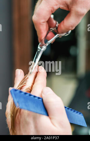 Die Hände des professionellen Friseur halten sie zwischen den Fingern Sperren des blonden Haar und schneidet Haare Tipps closeup, kurze Frisur, weiblichen Stilist. Stockfoto