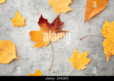 Trocken gefallenen Blätter im Herbst am grauen Stein Hintergrund Stockfoto