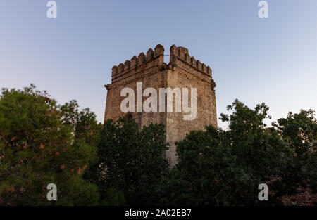 Mittelalterlichen Turm, die sich hinter Bäumen in Sevilla Spanien Stockfoto