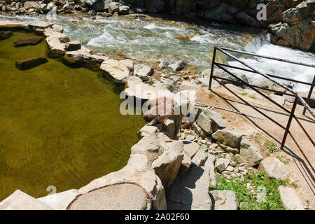 Jigokudani Monkey Park, Yamanouchi, Yudanaka, Shibu Onsen, Nagano Stockfoto