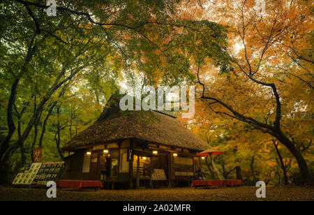 Das alte, traditionelle Mizuya Chaya Tea House, im Herbstlaub in der Nähe des Kasuga Grand Shrine im Nara Park, Japan Stockfoto