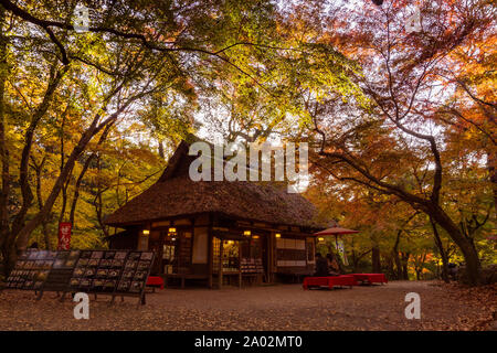 Alte Teehaus in Nara, Japan durch die roten Blätter des Herbstes umgeben Stockfoto