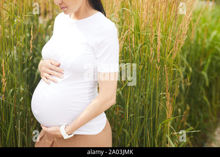 Close-up junge Frau im weißen T-Shirt mit ihrer schwangeren Bauch beim Gehen in der Natur mit grünen hohen Pflanzen im Hintergrund Stockfoto