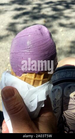 Italienische blueberry Flavored ice cream in diesem Sommer Stockfoto
