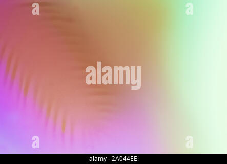 Zusammenfassung Hintergrund mit palm leaf im Neonlicht Stockfoto