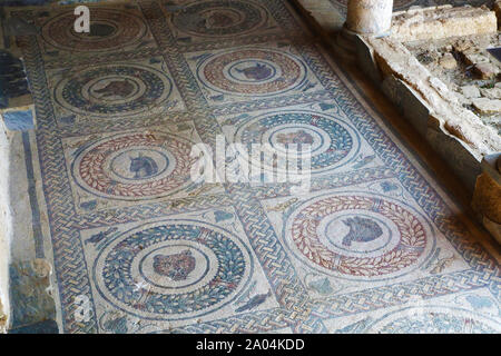 Verschiedene Tiere in alten römischen Mosaik, Sizilien. Von der Villa del Casale in Piazza Armerina, Sizilien, Italien. Stockfoto