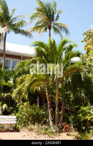 Blumen und Bäume in den Vista von Schönheit in der Florida Keys. Stockfoto