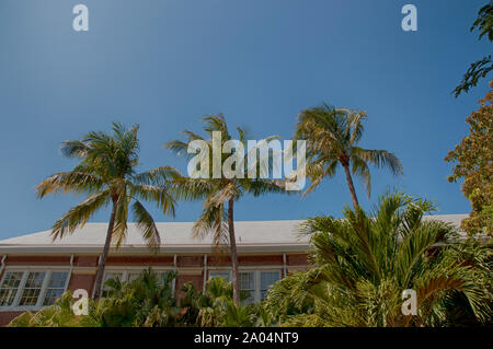 Blumen und Bäume in den Vista von Schönheit in der Florida Keys. Stockfoto