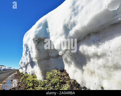 Zwei meter hohen Schnee Wand auf einer Straße in den Nationalpark Teide auf der kanarischen Insel im Februar. Auf der sonnigen, blauen Himmel und auf der Seite grüne Frische pl Stockfoto