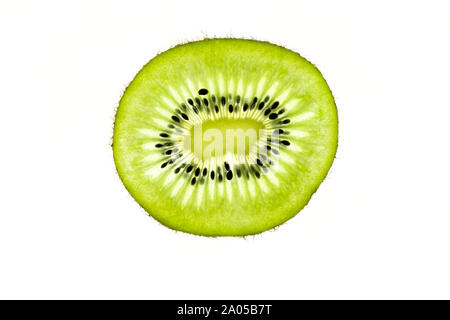Einzige Scheibe Kiwi abgebildet gegen einen hellen weißen Hintergrund Stockfoto