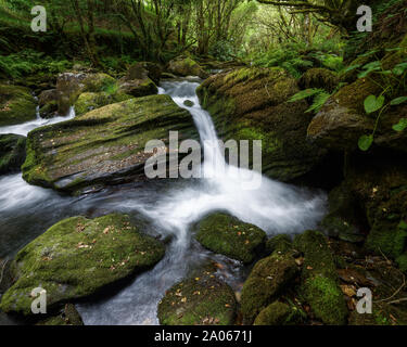 Kleiner Wasserfall in einem Gebirgsfluss mit bemoosten Felsen und üppiger Vegetation umgeben. Stockfoto