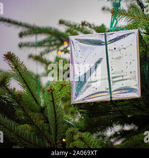 Minimalistische Fichte mit einem Paket, Geschenk in glänzende Folie eingewickelt dekoriert und mit Regentropfen fallen. Stockfoto
