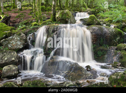 Wasserfälle auf der Lowran Brennen, in der Nähe von Loch Ken, Dumfries und Galloway, Schottland Stockfoto