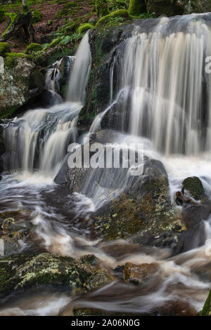 Wasserfälle auf der Lowran Brennen, in der Nähe von Loch Ken, Dumfries und Galloway, Schottland Stockfoto