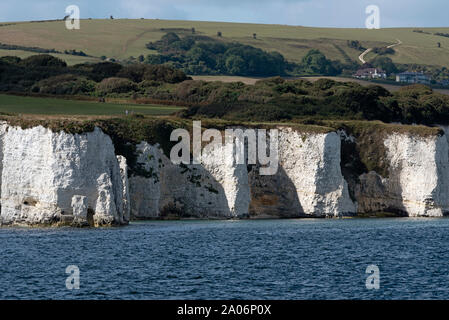 Studland, Dorset, England, UK. September 2019. Weiße Kreidefelsen der Insel Purbeck vom Meer gesehen. Ballard und der SW-Küste Stockfoto